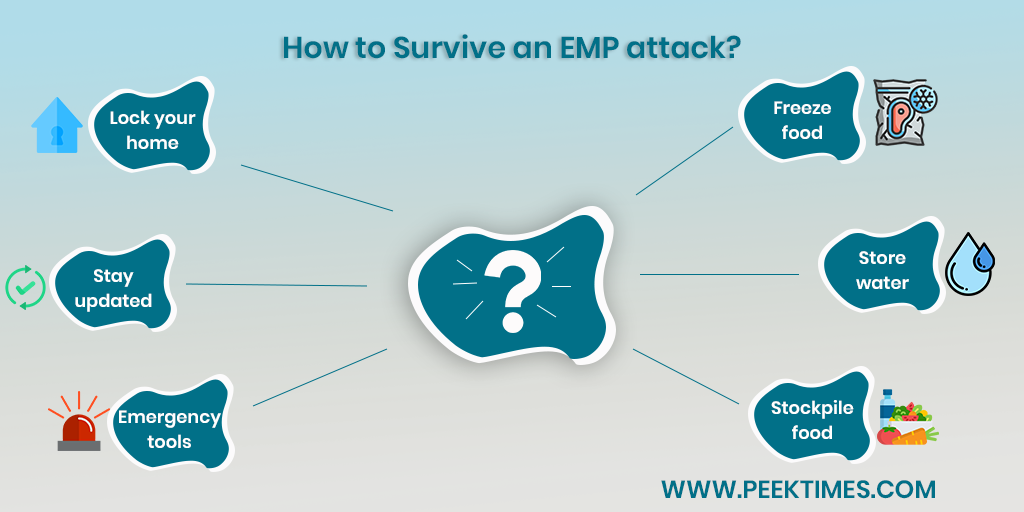 EMP Attack Survival