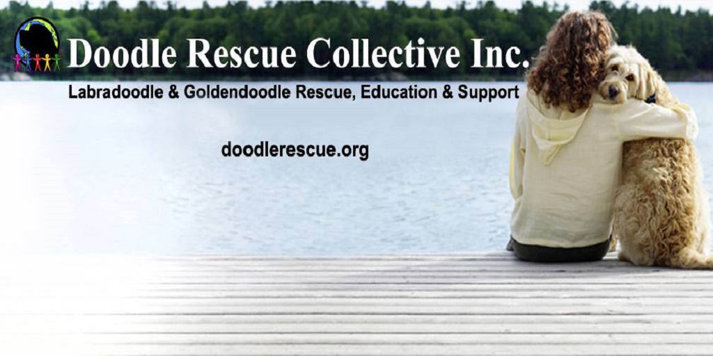 Doodle Rescue Collective