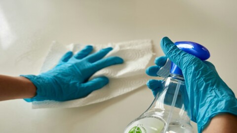 Professional Cleaning in Dubai