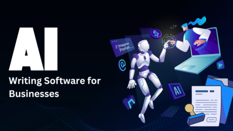 Writing Software for Businesses